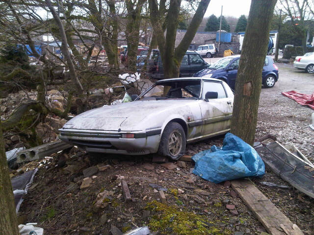 IMG00501-20120408-1125 (1).jpg