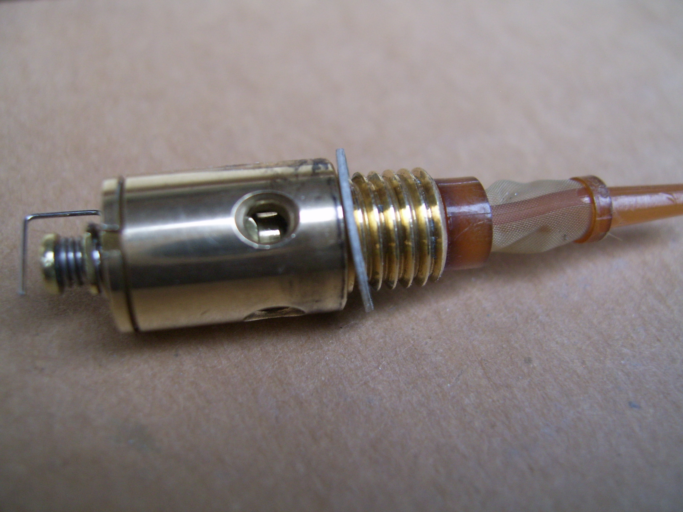 SV101211.JPG