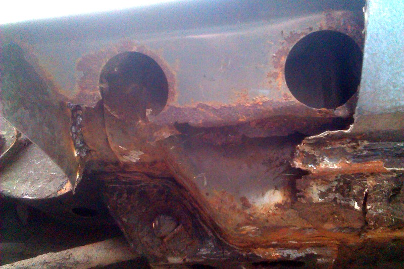 Timworm at its worst