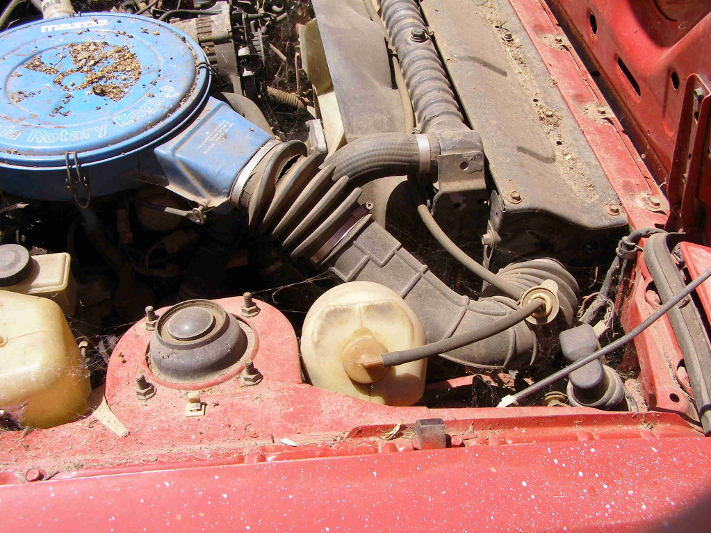 woody -engine1.JPG