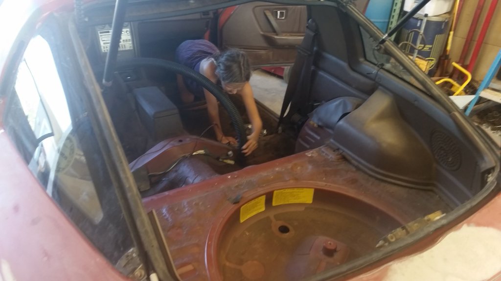 20161001_142901 (Medium).jpg