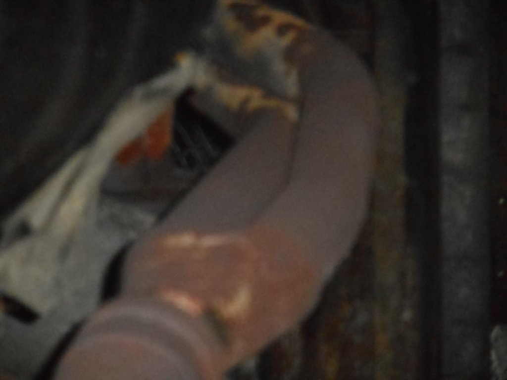 DSCN2391.JPG
