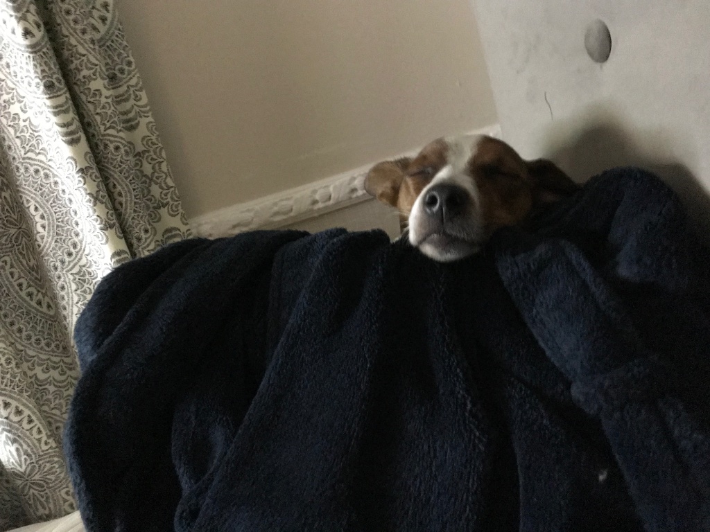 IMG_0157.jpeg